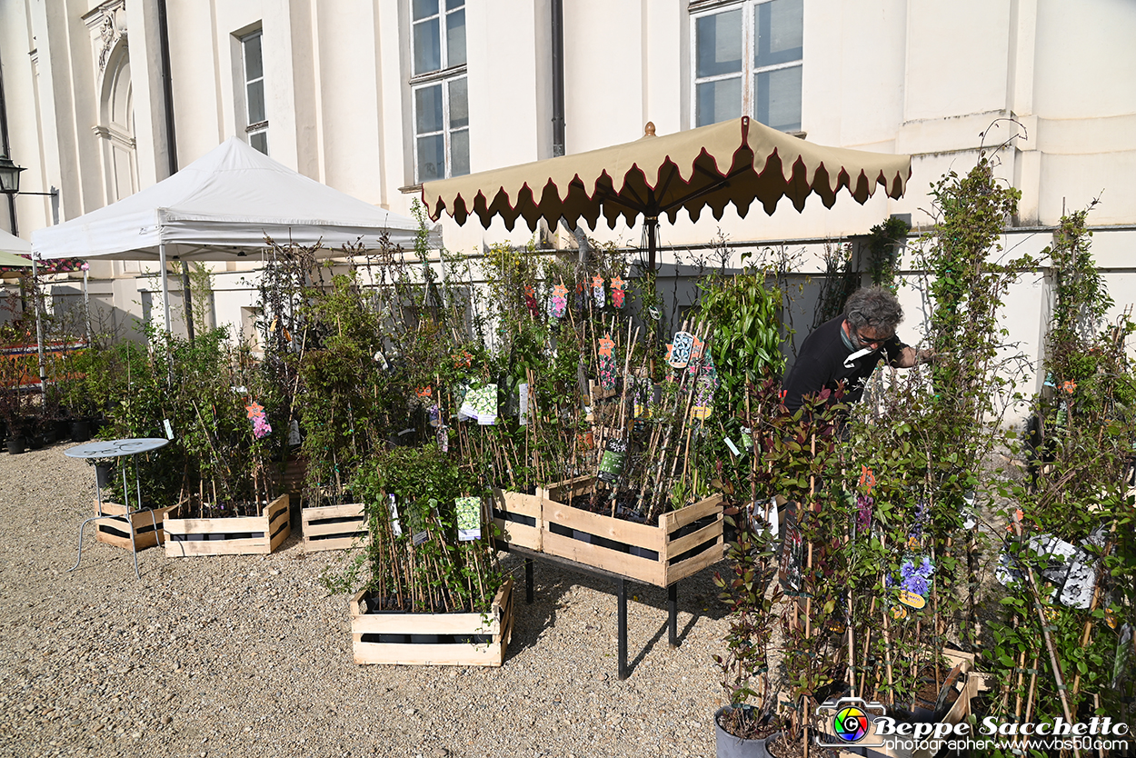VBS_0812 - Anteprima FloReal 2025.jpg